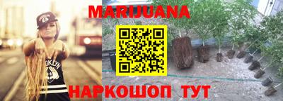 гидра Шебекино