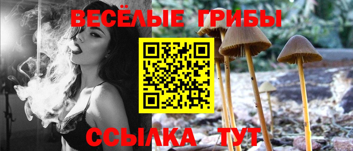 Галлюциногенные грибы MAGIC MUSHROOMS  Псилоцибиновые грибы Psilocybe  Вход с VPN  Крымск 
